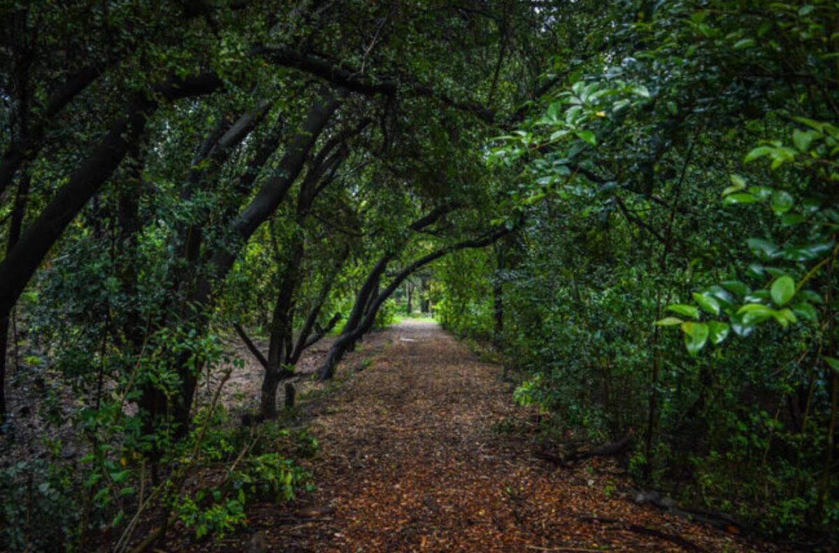 Con entrada liberada y cerca de Metro Zapadores: este parque gratuito es ideal para visitar los fines de semana en Santiago