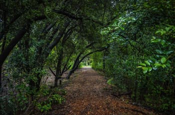 Con entrada liberada y cerca de Metro Zapadores: este parque gratuito es ideal para visitar los fines de semana en Santiago