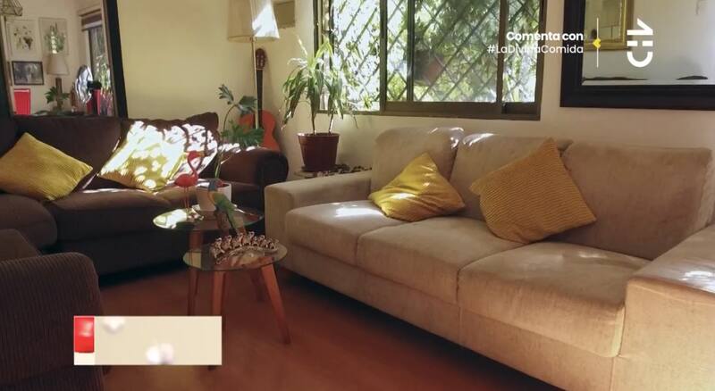 El living de la casa de Botota Fox. Créditos: CHV.