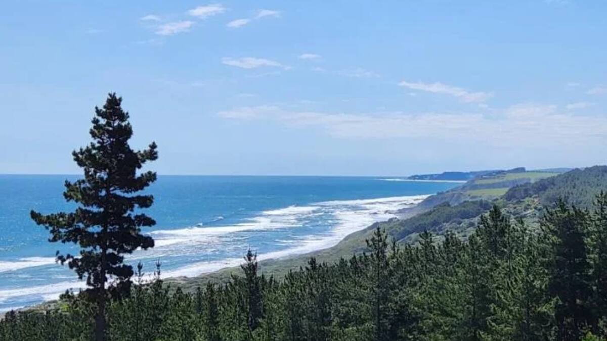 Conoce Boyeruca: La localidad costera del Maule donde el bosque y el mar se encuentran