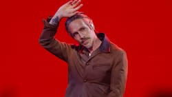 “He is a boss”: Vocalista de Incubus se rinde ante intérprete de lenguaje de señas en show del Festival de Viña