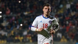 “Bruno Barticciotto hizo 15 goles en el año;  no es Haaland, pero digo, por último llámalo a La Roja”