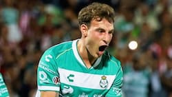 ¿Primer refuerzo de Colo Colo? Esto respondió Bruno Barticciotto por su posible fichaje