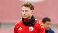 Los factores que alejan a Bruno Barticciotto de Colo Colo