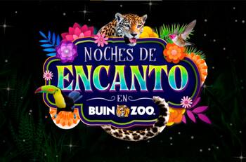 Noches de Encanto en Buin Zoo: ¿Cuándo se realizarán y cuánto cuestan las entradas?