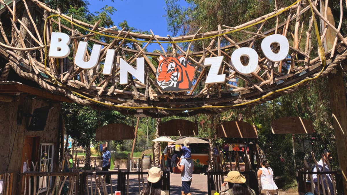 Buin Zoo: Conoce los precios y horarios para visitar el bioparque en vacaciones de invierno