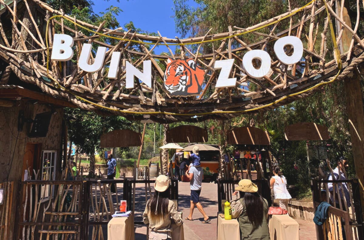 Buin Zoo: Conoce los precios y horarios para visitar el bioparque en vacaciones de invierno
