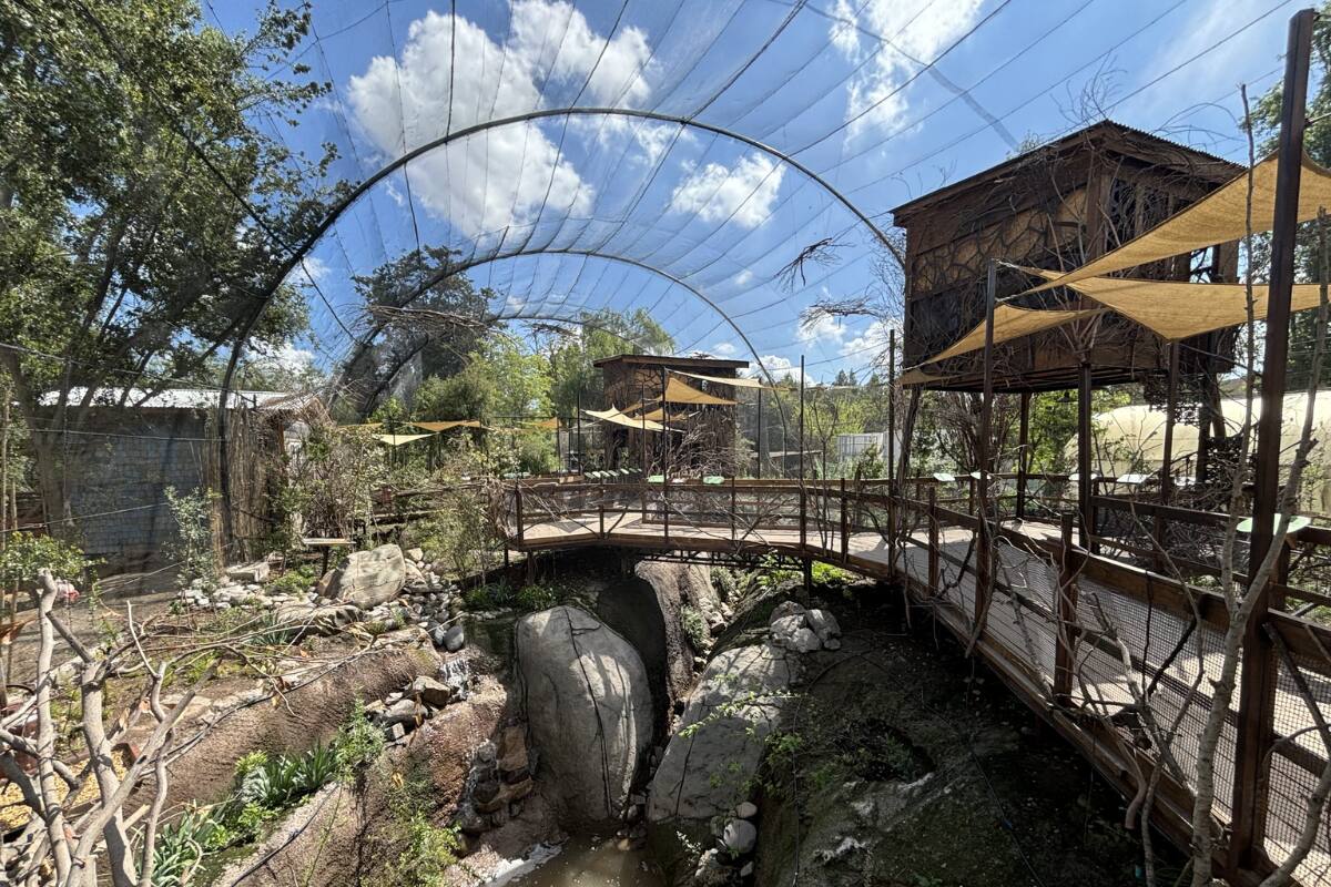 Buin Zoo será seis veces más grande que el Zoológico Nacional.