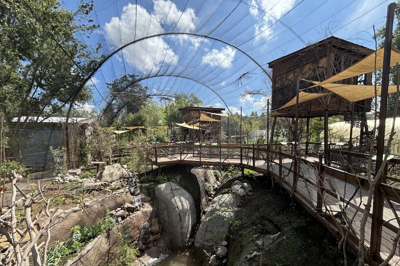 Buin Zoo será seis veces más grande que el Zoológico Nacional.