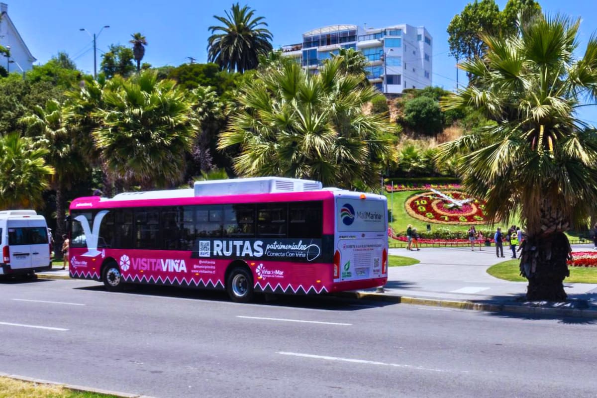 El bus gratuito que tiene acceso inclusivo. Foto: Municipalidad de Viña del Mar.