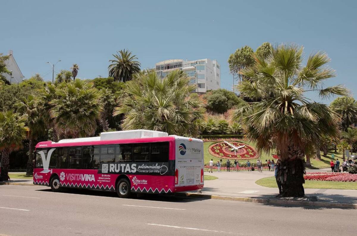 Bus turístico eléctrico de Viña del Mar: Horarios, recorrido y cómo reservar gratis un paseo