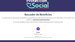 Buscador de beneficios: ¿Cómo saber a qué bonos y subsidios del Estado puedo postular con mi RUT?