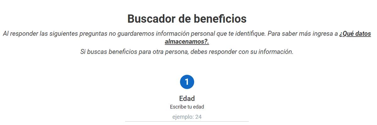 La página en donde podrás revisar a qué beneficios puedes optar. Captura: Red de Protección