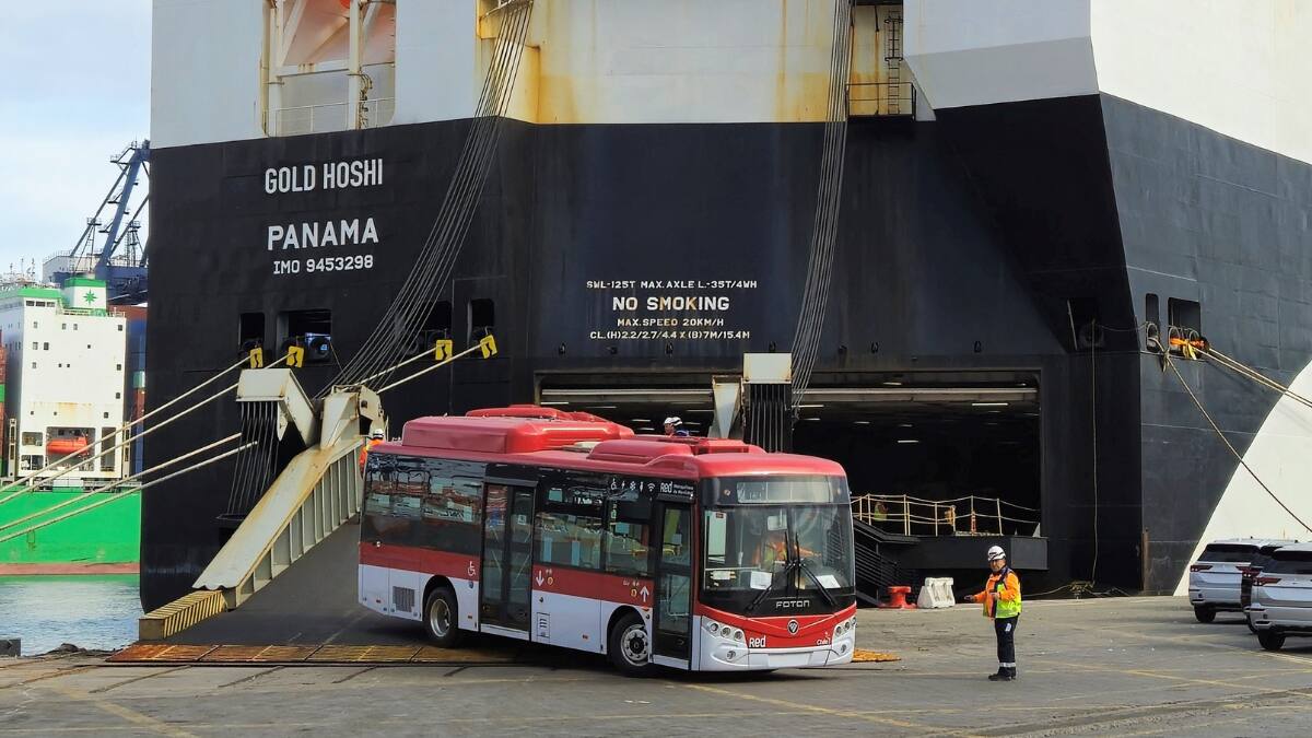 Llegaron 42 buses eléctricos para dos comunas del país: Descubre cómo serán y desde cuándo operarán