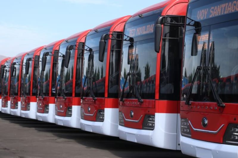 Cuentan con aire acondicionado, Wi-Fi y cámaras de seguridad.