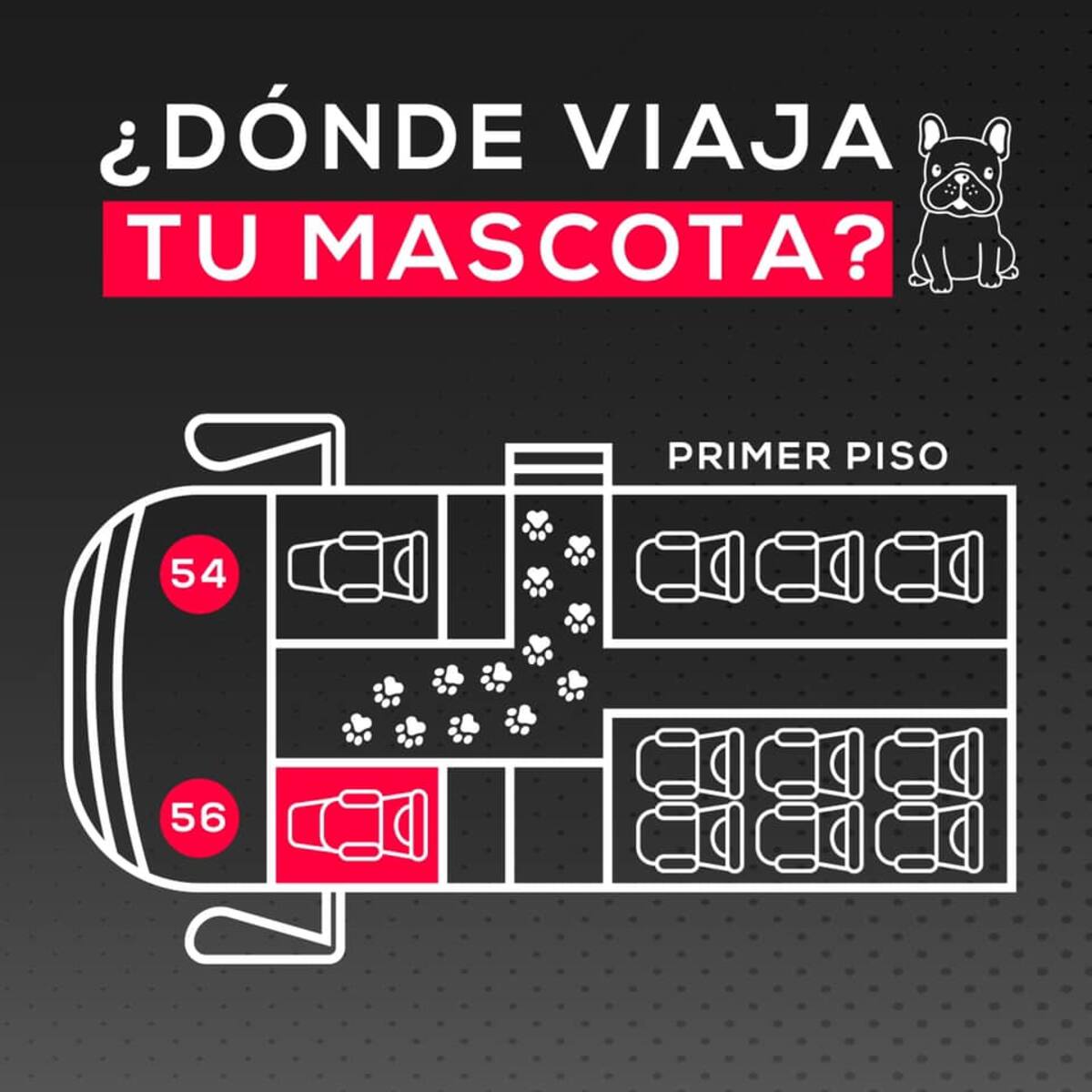 Para viajar con tu mascota en Talpa, París y Londres, es necesario que compres los pasajes señalados en la foto.