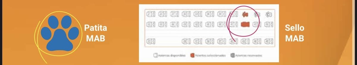 Deberás buscar este logo a la hora de comprar tu pasaje en Pullman.