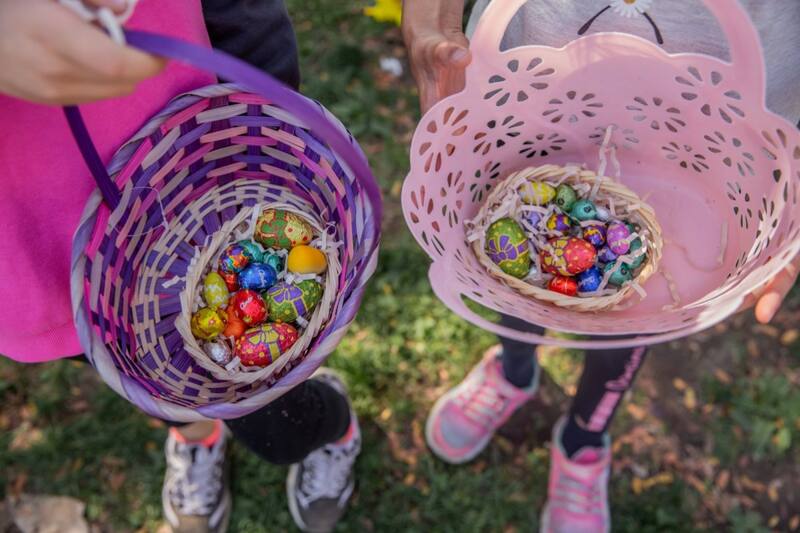Esta tradición genera tanto entretención como unión familiar a la hora de buscar los chocolates.