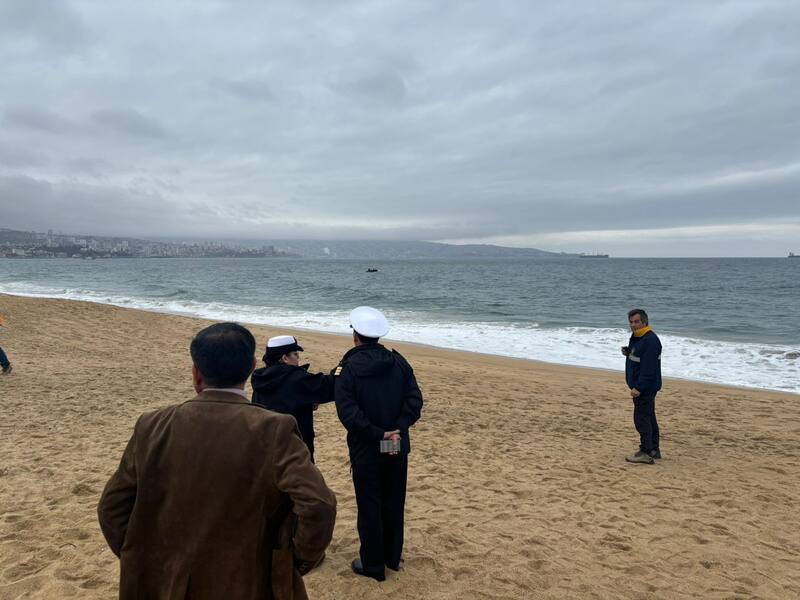 Fue arrastrada por el oleaje en Viña del Mar.