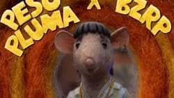 Bizarrap anunció su Session #55 con Peso Pluma: ¿A qué hora y cómo verlo en vivo?