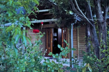 La escapada perfecta en la Región del Maule: Las Cabañas Altos de Pejerrey son ideales para descansar cerca de Talca