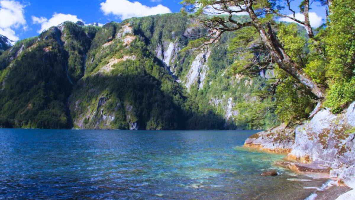 Cabañas Nancy Coñaripe: un refugio natural con salida a un gran lago y a solo 2 horas de Valdivia
