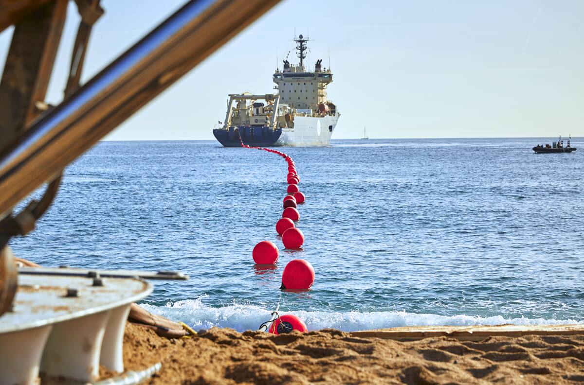 Confirman construcción del cable submarino más grande del mundo: tendrá 50 mil kilómetros y pasará por estos países