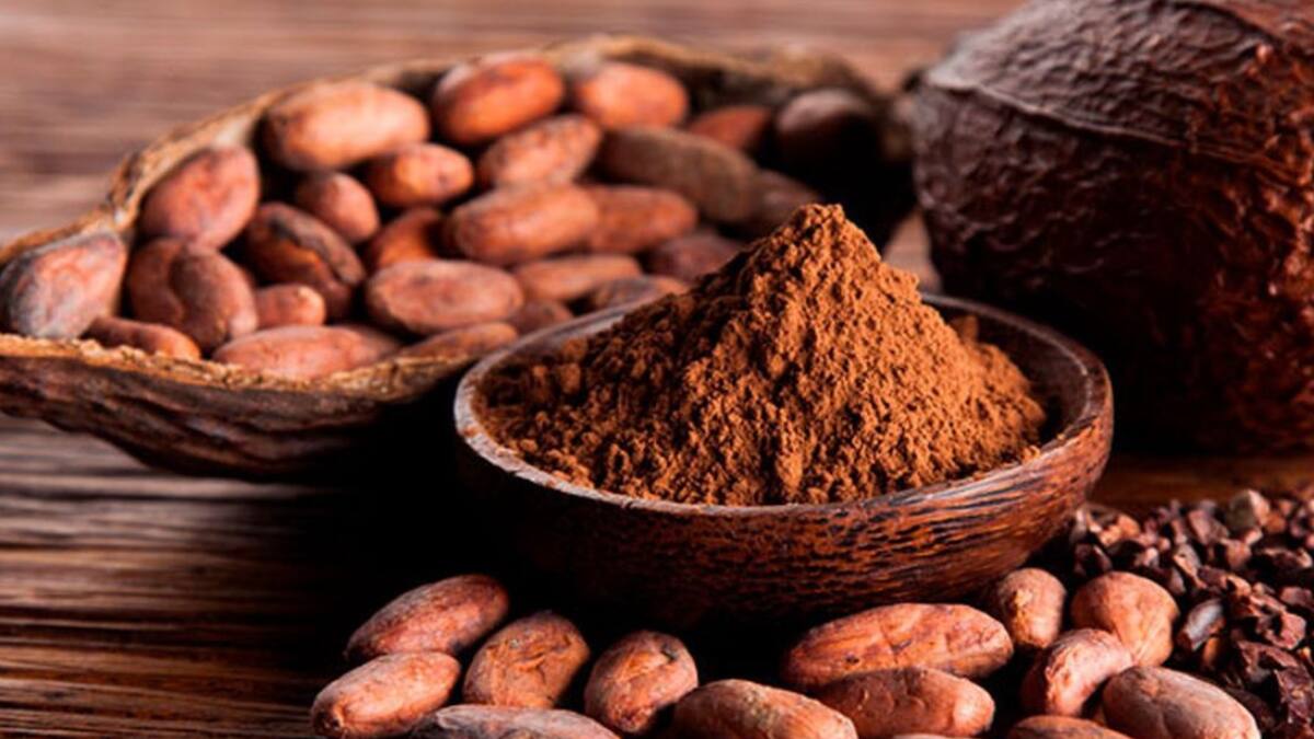 ¿En qué país de América Latina se originó el cacao?: Investigación confirma que no es Colombia ni México