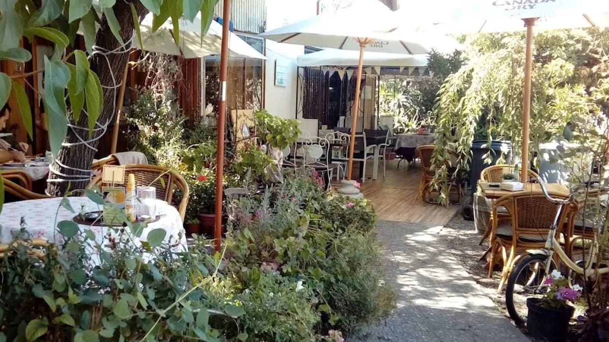 Rodeado de naturaleza y ambientalizado con el cantar de los pájaros: Este café es ideal para ir en primavera y relajarse