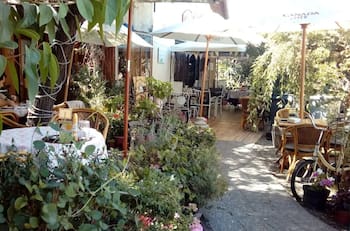 Rodeado de naturaleza y ambientalizado con el cantar de los pájaros: Este café es ideal para ir en primavera y relajarse