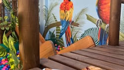 Esta cafetería ubicada en Santiago es perfecta para visitar durante el fin de semana con niños