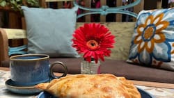 “Parece sacada de un cuento”: Esta cafetería ubicada en un conocido barrio de Santiago es ideal para visitar en verano