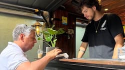 Para todos los amantes de la naturaleza: Esta cafetería de Santiago tiene un increíble vivero en su interior