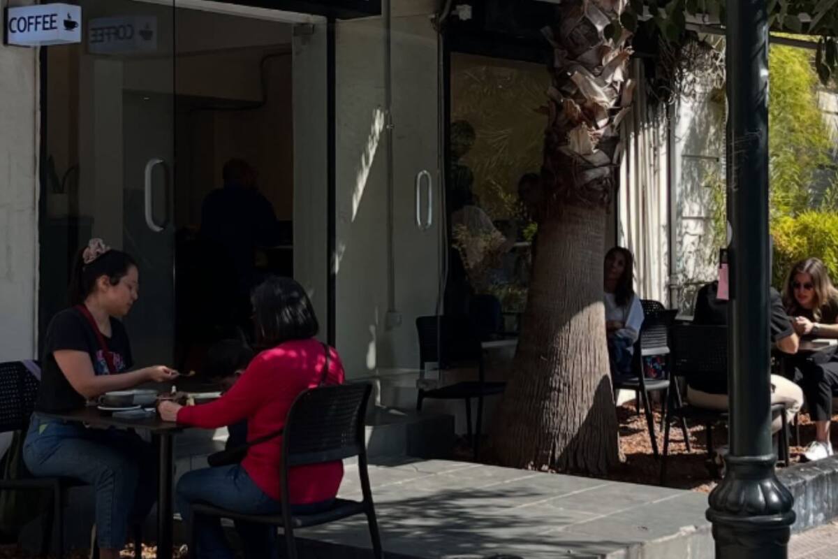 También se ofrecen cursos para llevar a cabo en sus instalaciones, y poseen certificación.
Créditos: Instagram Draga Coffee.