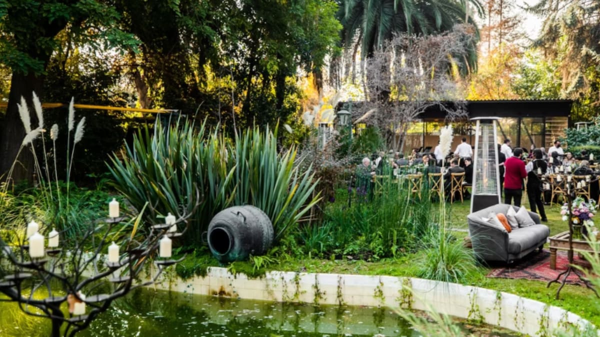 Cafetería emplazada en un antiguo parque que contiene un precioso jardín escondido: Ideal si quieres relajarte en mitad de semana