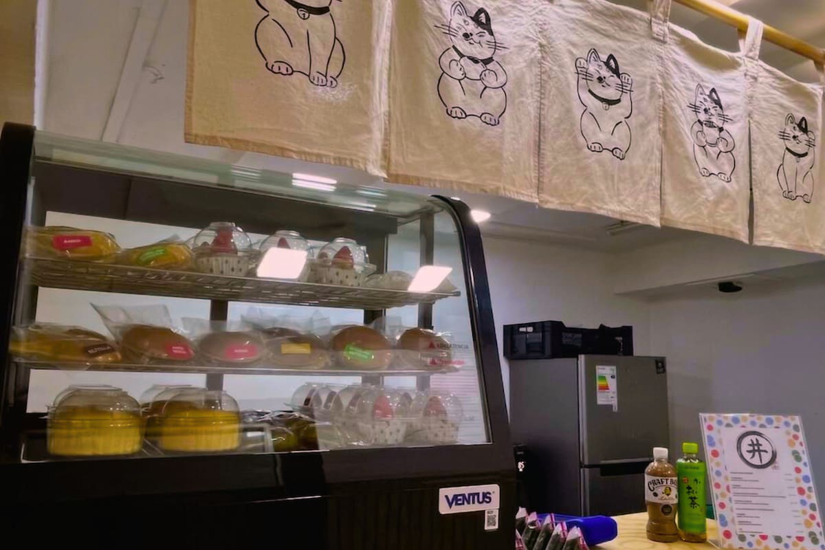 Una experiencia imperdible para visitar en compañía por Providencia. Créditos: @maruy.cl vía Instagram.