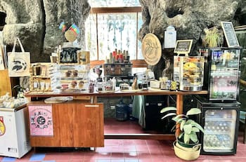 Esta mágica cafetería mapuche inserta en una caverna del centro de Santiago es ideal para ir con amigas en verano