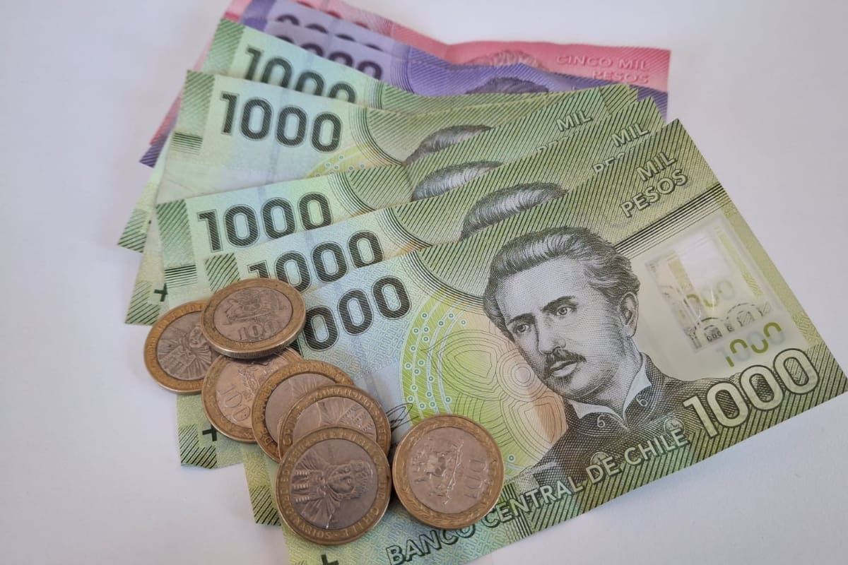 La solicitud a este dinero se tiene que hacer en el plazo establecido.