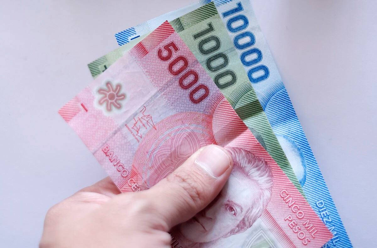 Esta caja de compensación otorga $25.000 a afiliados que hayan firmado el Acuerdo de Unión Civil