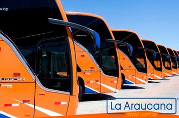 Caja La Araucana entrega 50% de descuento en pasajes de bus de esta reconocida empresa del país