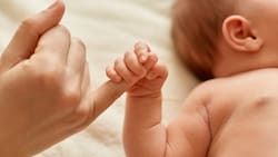 Caja Los Andes ofrece bono de $35.000 a padres: Revisa si cumples con estos requisitos