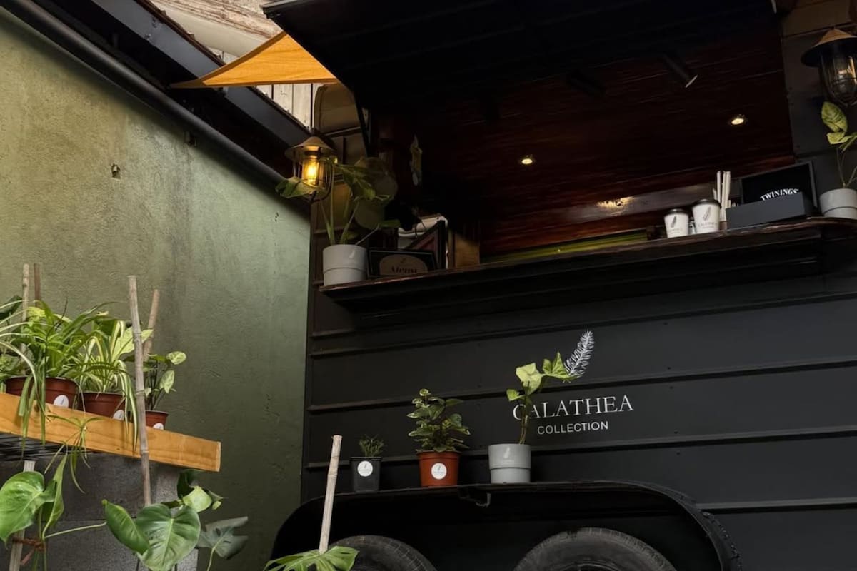 Está ubicado en la comuna de Las Condes.
Créditos: Calathea Collection.