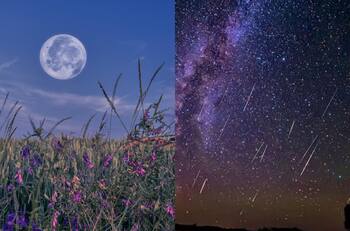 Desde una lluvia de estrella hasta la Luna de Flores: Revisa el calendario astronómico de mayo 2024