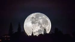 Se viene la primera Luna Llena del 2025: Descubre cuáles son los mejores días para verla según el calendario lunar