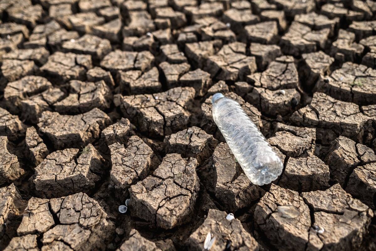 Ante la crisis climática, muchas ciudades se volverían inhabitables en el futuro.