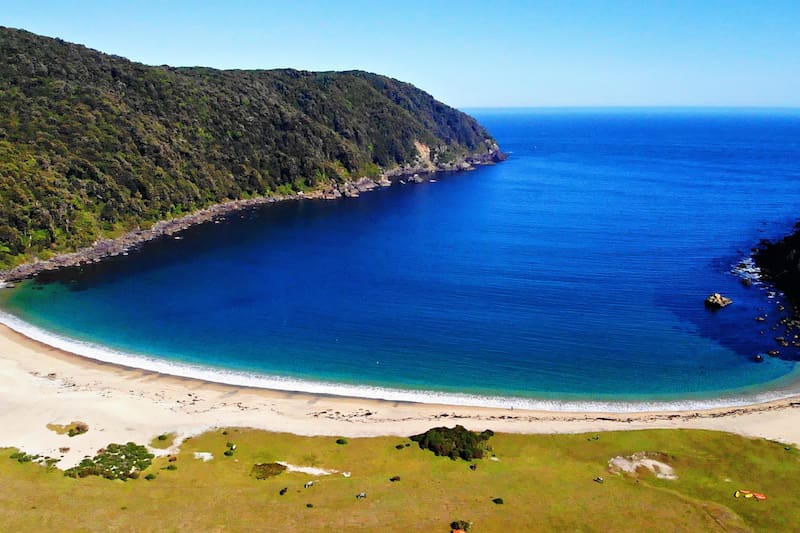 Foto: Reconoce Chile.