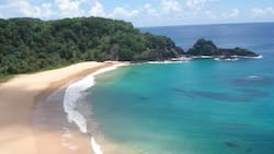 Caleta Cóndor, un paraíso oculto de aguas turquesas: Esta playa es un imperdible en la Región de Los Lagos