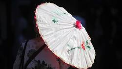 ¿Se rompe el récord? Adelantan que este día podría establecerse una máxima de 38 °C en Santiago