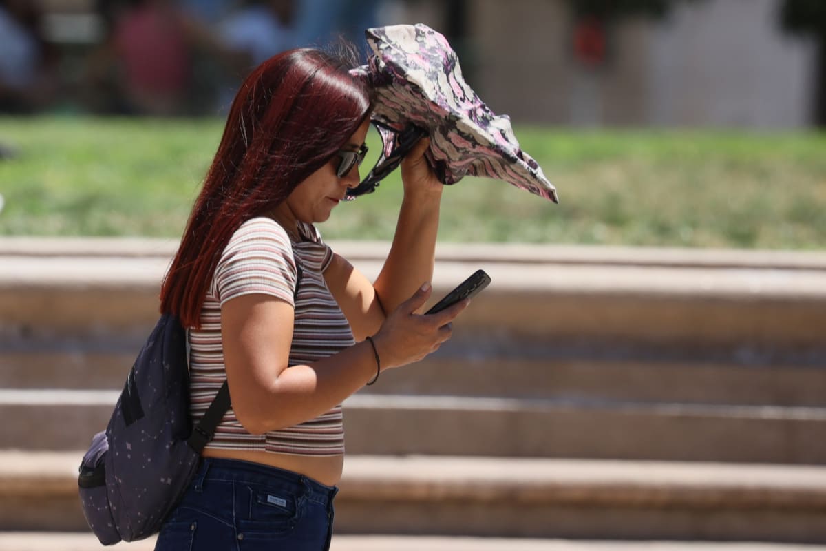 Se esperan máximas cercanas a los 30° C en la capital. Créditos: Dragomir Yankovic/Aton Chile.
