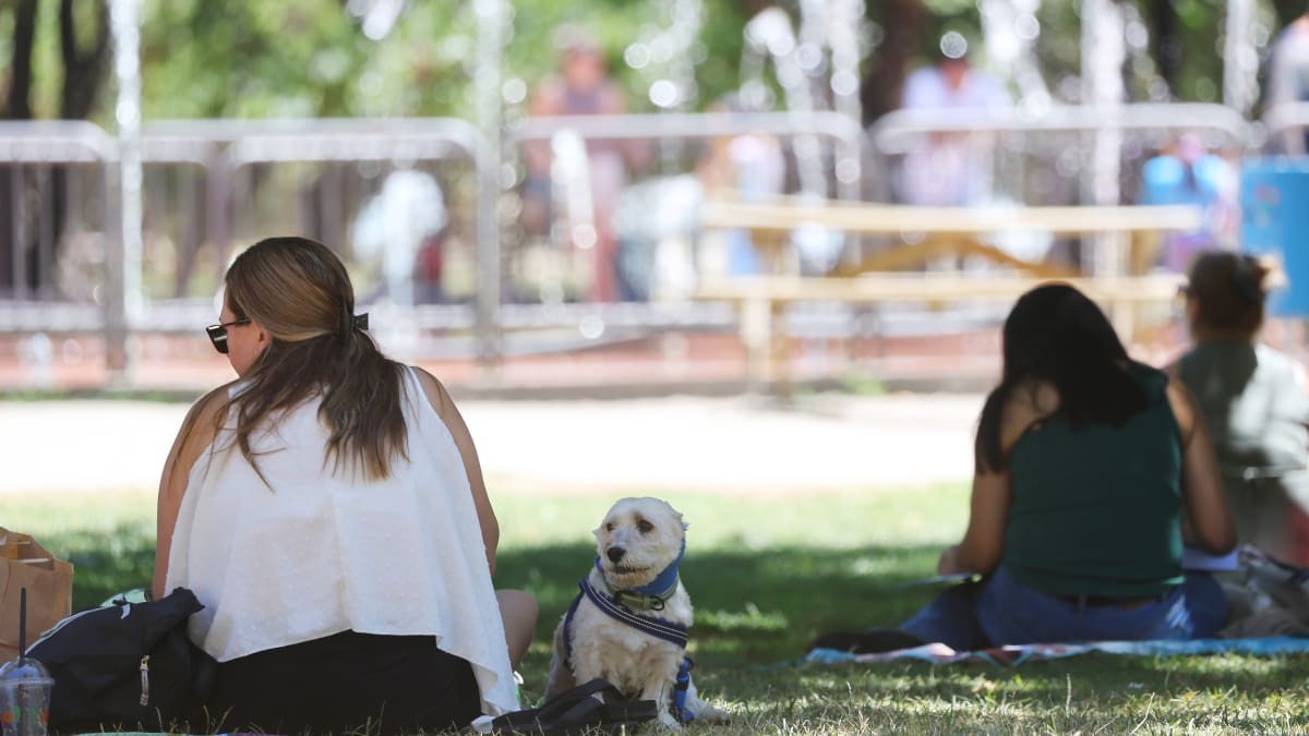 Este será el día más caluroso de la semana en Santiago: Máxima superará los 27 °C